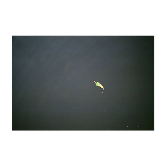 Adrift - Photography Minimalist Nature Abstract Water Calm Unframed Wall Art Print 4 x 6 inches