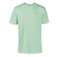 thumbnail image 1 of Adult 100 Percent Cotton Short Sleeve Crew Neck T-Shirt, Key Lime - Small, 1 of 1