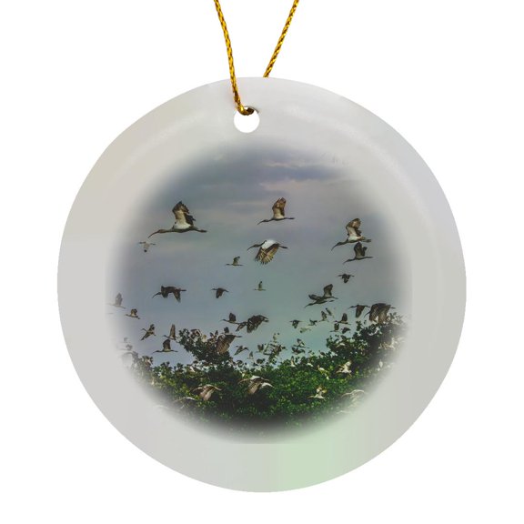 3drose, Adult and Juvenile White Ibis Leaving Roost. South Florida., Circle Porcelain Ornament