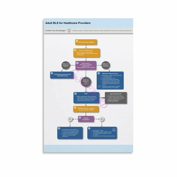 Adult BLS Algorithm For Healthcare Providers Chart Poster Canvas Painting Wall Art