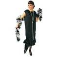thumbnail image 1 of Adult Charleston Dress Costume, 1 of 1