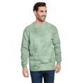 thumbnail image 1 of Adult Color Blast Crewneck Sweatshirt - FERN - S, 1 of 2
