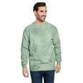 thumbnail image 1 of Adult Color Blast Crewneck Sweatshirt - FERN - XL, 1 of 2