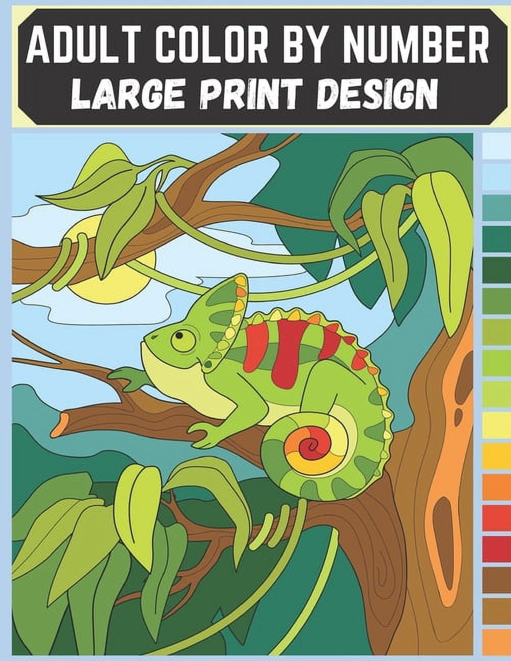 Adult Color By Number Large Print Design An Adult Coloring Book with