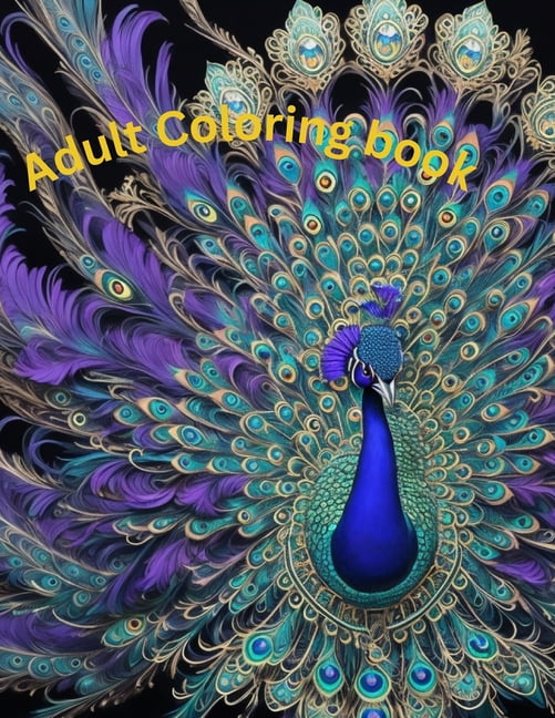 Adult Coloring Book (Paperback)