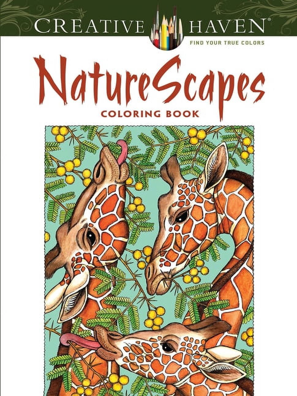NatureScapes - (Adult Coloring Books: Nature) by Patricia J Wynne  (Paperback)