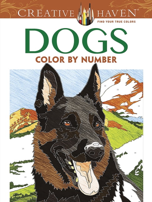 Color by Numbers for Adults: Landscapes: Extreme Color by Numbers - Intermediate to Advanced [Book]