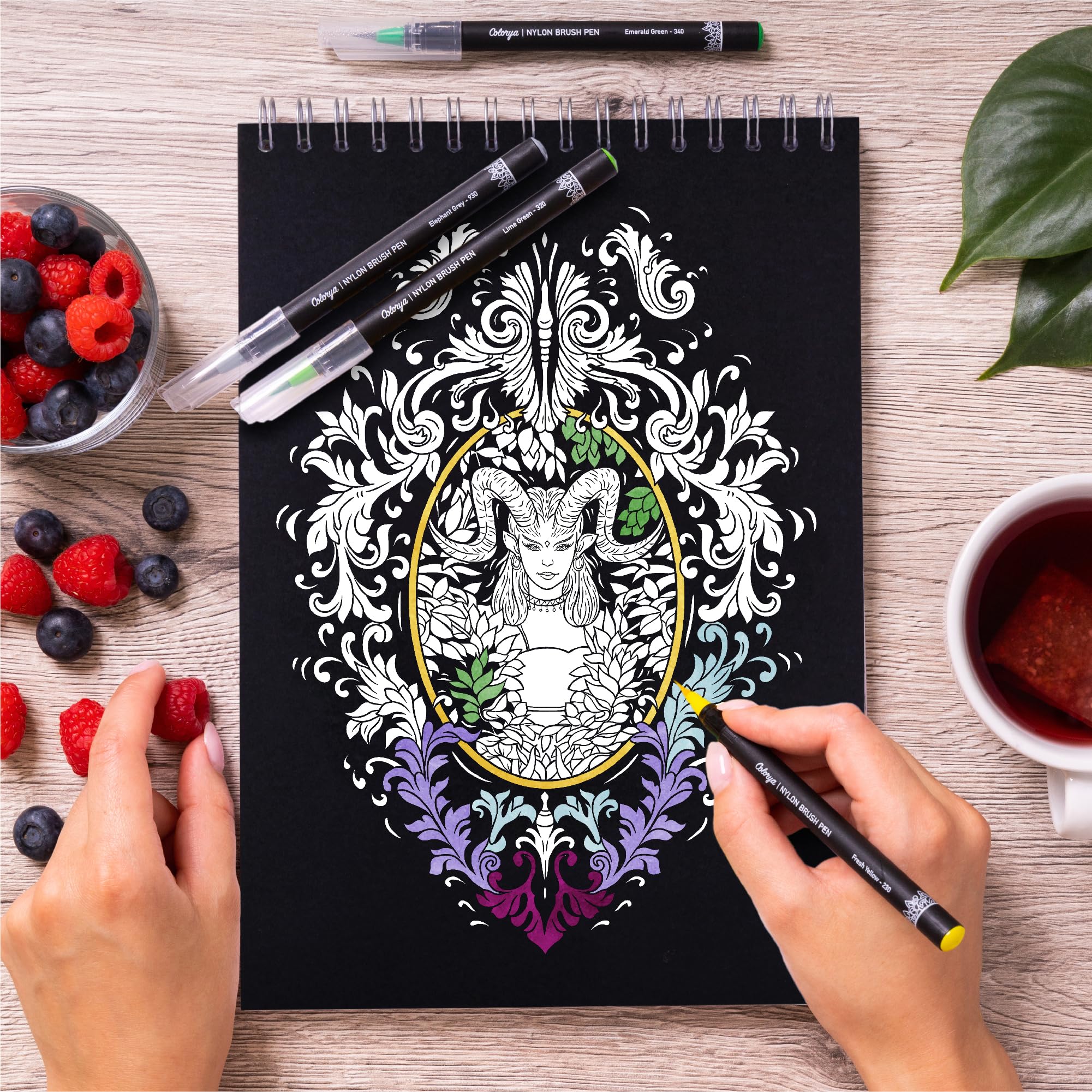 Adult Colouring Books by Colorya - A4 Size - Enchanting Fairy World ...