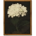 thumbnail image 1 of Adult Diamond Painting Set - 5D Diamond Art Set "White Hydrangea", Suitable for Adults Children Beginners, DIY Round Full Diamond Diamond Dot Painting Set Home Wall Decoration, 1 of 6