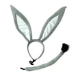 thumbnail image 1 of Adult Donkey Costume Husband In Trouble I'm Sorry Novelty Gag Gift Funny Prank Joke, 1 of 2