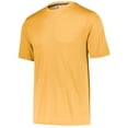 thumbnail image 1 of Adult Dri-Power Core Performance T-Shirt, Gold - Medium, 1 of 1