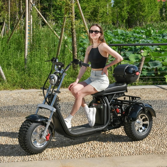 Ehoodax Adult Electric 3 Wheel Scooter 2000W Motor, Max Speed 35-45KM/H, Max Load 250KG