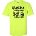 thumbnail image 1 of Adult Grandma Is My Name Spoiling Is My Game T-Shirt, 1 of 1