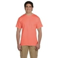 thumbnail image 1 of Adult HD Cotton™ T-Shirt, 1 of 3