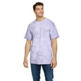 thumbnail image 1 of Adult Heavyweight Color Blast T-Shirt - AMETHYST - XL, 1 of 2