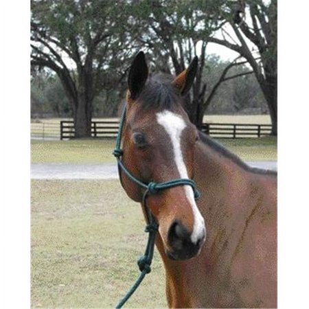 Adult Horse Rope Halter With Lead