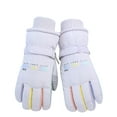 thumbnail image 1 of Adult Insulated Ski Gloves for Winter Sports and Motorcycle Riding Windproof Thermal Size:One Size, 1 of 3