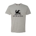 thumbnail image 1 of Adult Mother Of Dragons Deluxe T-Shirt, 1 of 1