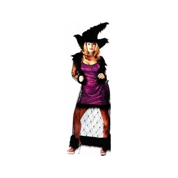 Adult Mystic Purple Witch Costume