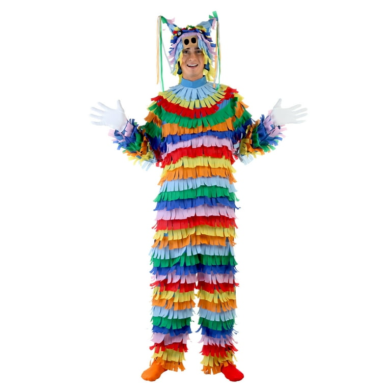 Adult pinata costume deals