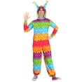 thumbnail image 1 of Adult Pinata Party Costume, 1 of 7
