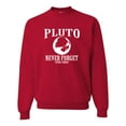 thumbnail image 1 of Adult Pluto Never Forget 1930 - 2006 Funny Science Sweatshirt Crewneck, 1 of 1
