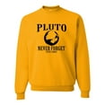 thumbnail image 1 of Adult Pluto Never Forget 1930 - 2006 Funny Science Sweatshirt Crewneck, 1 of 1