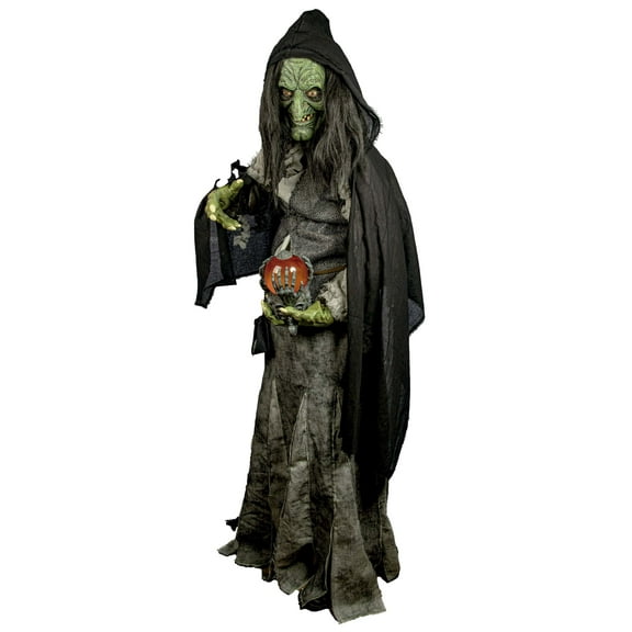 Adult Premium Witch Costume