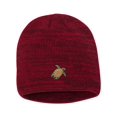 thumbnail image 1 of Adult Sea Turtle Embroidered Marled Knit Beanie Cap, 1 of 1
