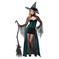 Adult Sexy Enchantress Witch Costume by California Costumes 01329 ...
