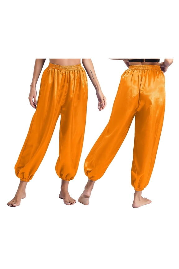 Adult Silky Belly Dance Harem Pants High Waist Loose Fit Trousers Costumes Carnival Dress Up