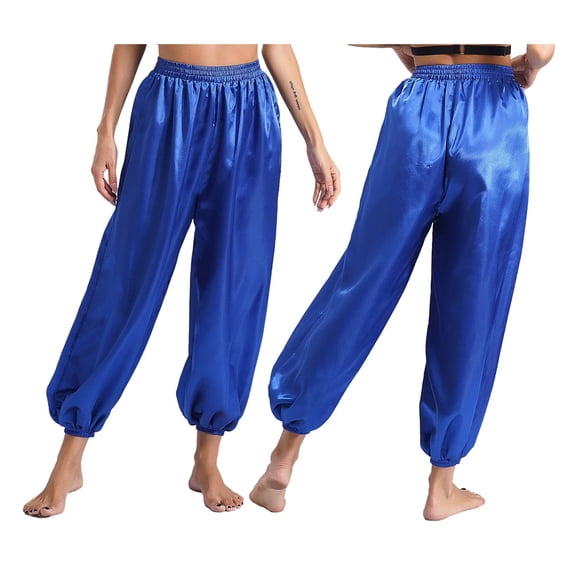 Adult Silky Belly Dance Harem Pants High Waist Loose Fit Trousers Costumes Carnival Dress Up