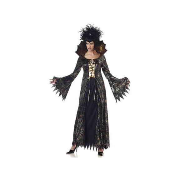 Adult Spider Witch Costume