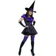 thumbnail image 1 of Adult Storybook Witch Costume, 1 of 1