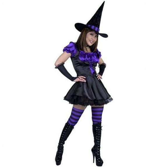Adult Storybook Witch Costume