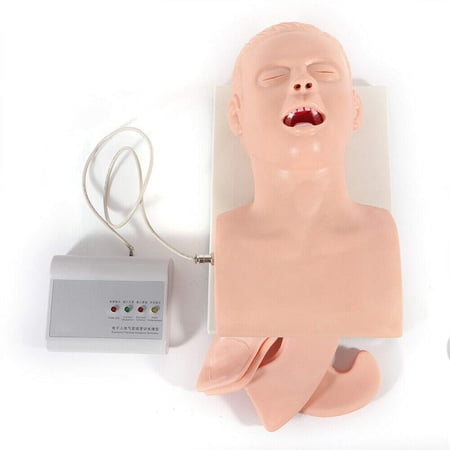 Adult Teaching Model Lab Intubation Manikin Airway Management Trainer PVC Model