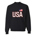 thumbnail image 1 of Adult USA National Pride Sweatshirt Crewneck, 1 of 1