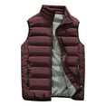 thumbnail image 1 of Adult Vest Sleeveless Down Jacket Fashion Zipper Stand Collar Quilted Waistcoat Winter Puffer Gilet for Women and Men Black, 1 of 2