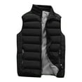 thumbnail image 1 of Adult Vest Sleeveless Down Jacket Fashion Zipper Stand Collar Quilted Waistcoat Winter Puffer Gilet for Women and Men Black, 1 of 2