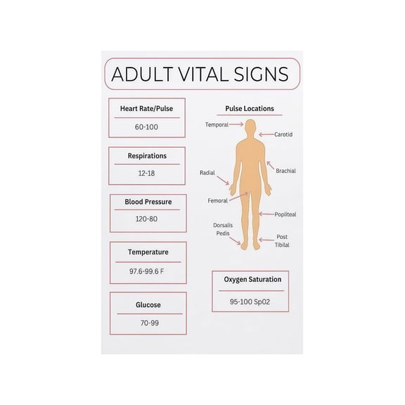 Adult Vital Signs Chart Poster Normal Ranges Nursing Reference Pulse Blood Pressure Respiratory Rate Healthcare Students Clinic Wall Decor Print