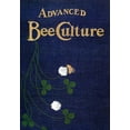 thumbnail image 1 of Advanced Bee-Culture: Its Methods and Management, 1 of 1