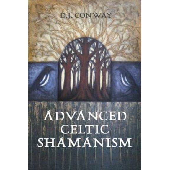 Pre-Owned Advanced Celtic Shamanism, 9781580910736, 1580910734, Paperback,