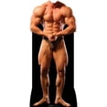 thumbnail image 1 of Advanced Graphics 1270 Muscle Man Standin Cardboard Standup, 1 of 4