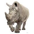 thumbnail image 1 of Advanced Graphics 1483 White Rhinoceros - 63" x 49" Cardboard Standup, 1 of 2