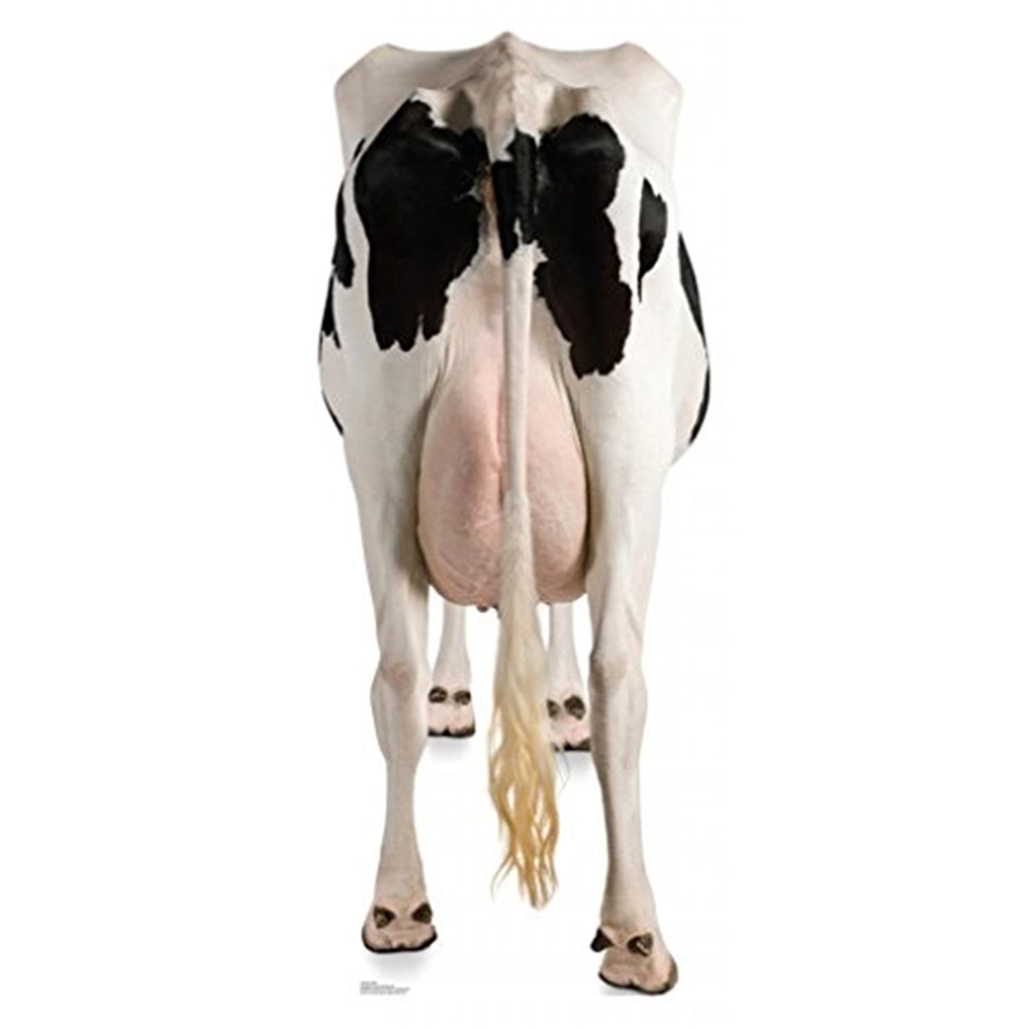 Life-Size Black and White Cow Rear Cardboard Standup