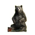 thumbnail image 1 of Baloo (Disney Live Action The Jungle Book), 1 of 2