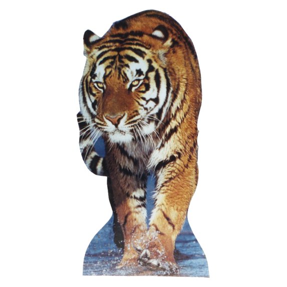 Advanced Graphics 230T Tiger - ALKING - 51" x 23" Cardboard Standup