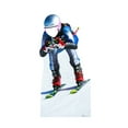 thumbnail image 1 of Downhill Skier Standin, 1 of 3