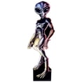 thumbnail image 1 of Advanced Graphics 325 Roswell Male Alien - Life-Size Cardboard Stand-Up, 1 of 3