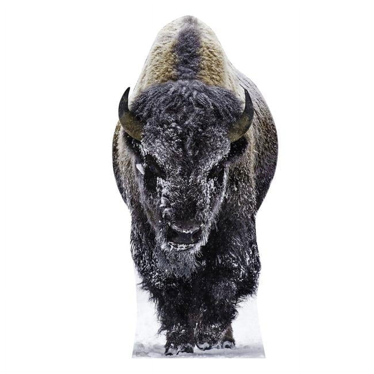 Life-Size Snowy Yellowstone Bison Cardboard Cutout Standee